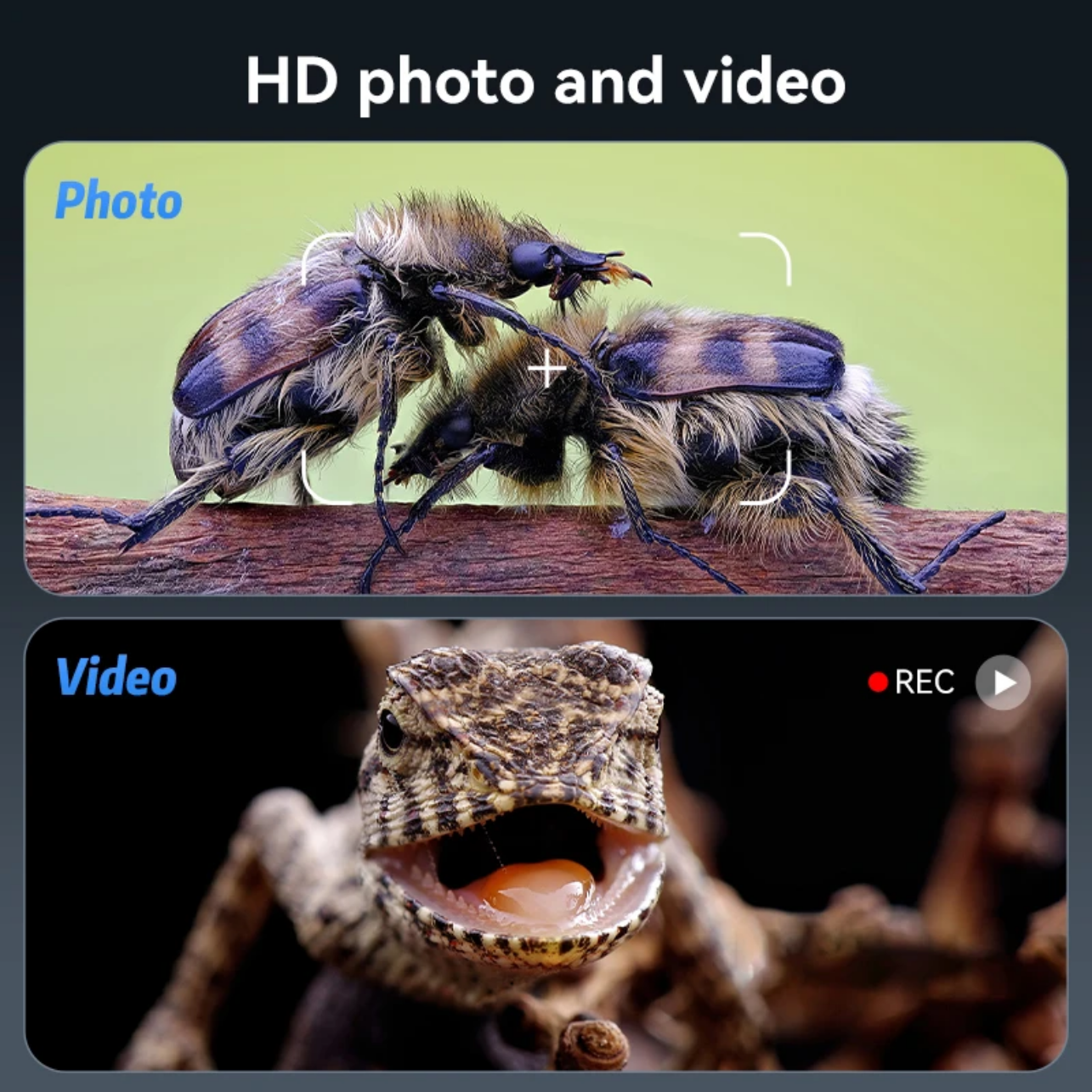 Digital Microscope 330H 7-Inch 50X-1200X with HDMI مكبر ديجيتال