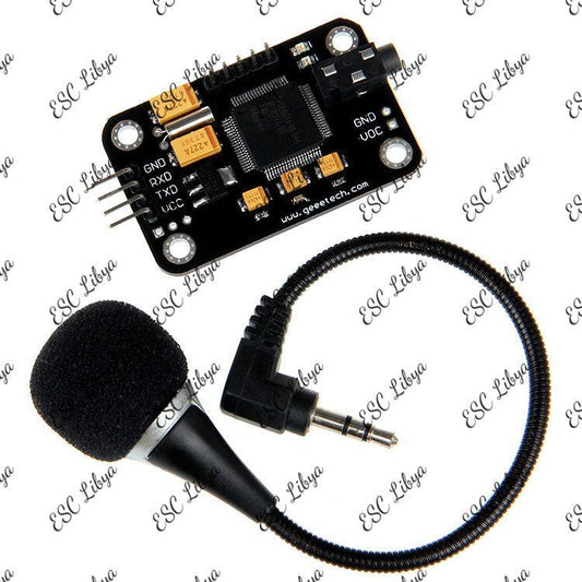 Voice Recognition Module