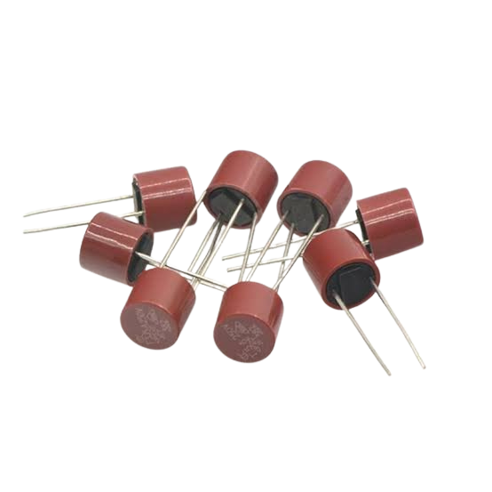 T50mA 250V Slow Blow Fuse