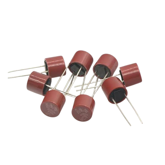T50mA 250V Slow Blow Fuse