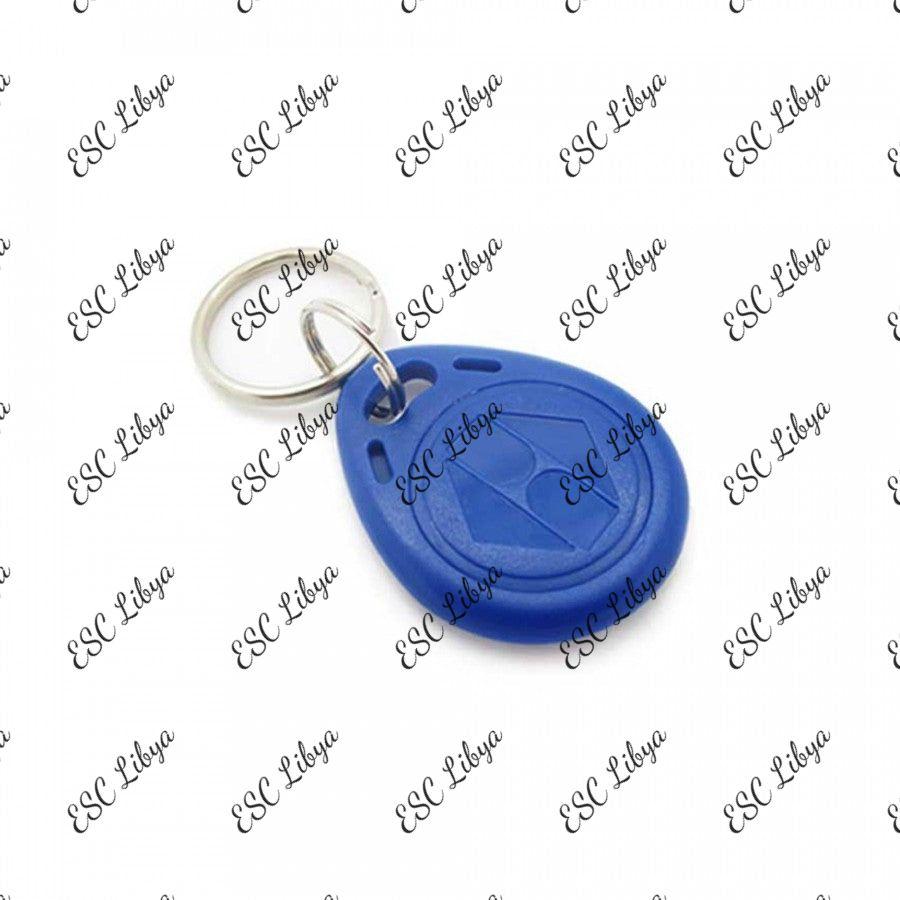 EM4100 125KHz RFID Keychain