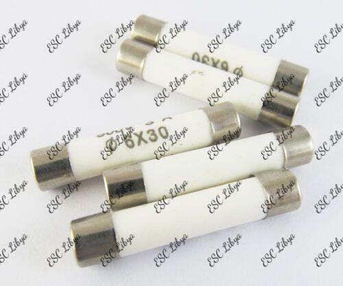 Ceramic Fuse 6x30mm فيوز سيراميكي كبير