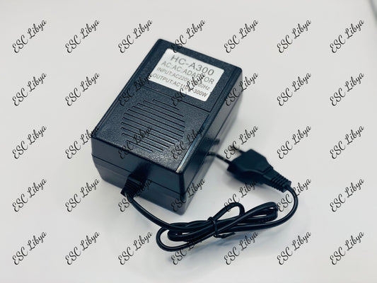 AC-AC Adapter 110v-220v 300w